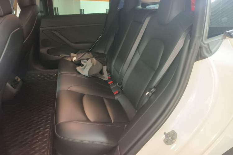 Used Tesla Model 3 2021 Performance High-Performance All-Wheel-Drive Version Left Rear Seat