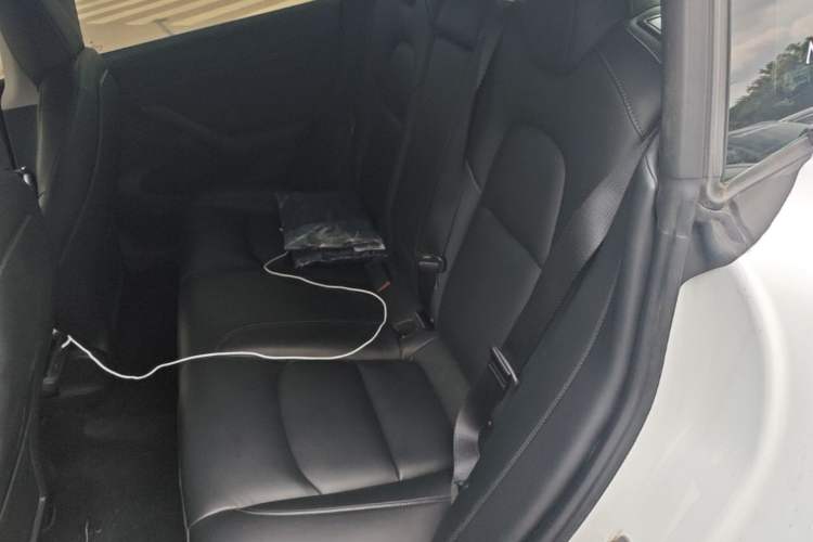 Used Tesla Model 3 2021 Standard Range Rear-Wheel Drive Upgraded Version 3D6 Left Rear Seat