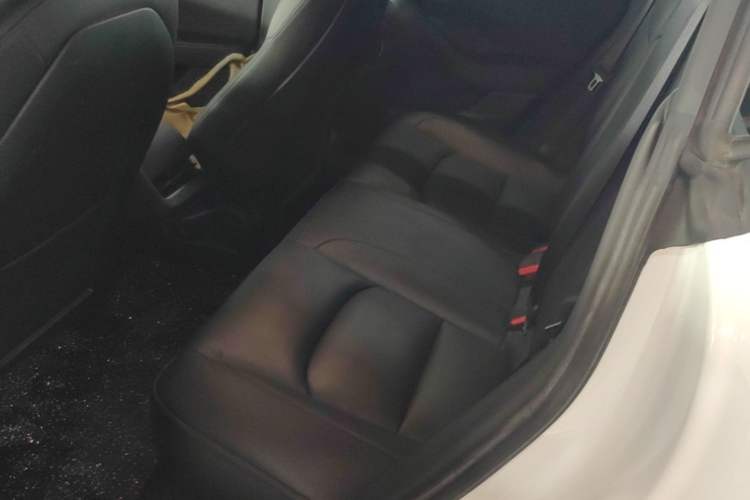 Used Tesla Model 3 2021 Standard Range Rear-Drive Upgraded Version Left Rear Seat