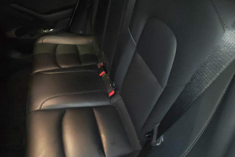 Used Tesla Model 3 2021 Performance High-Performance All-Wheel-Drive Version Left Rear Seat