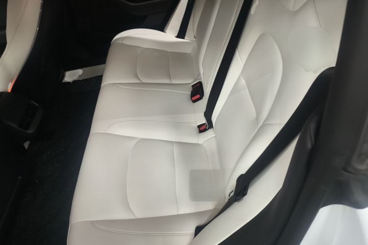 Used Tesla Model 3 2021 Revised Version II – Performance High-Performance All-Wheel-Drive Edition Left Rear Seat