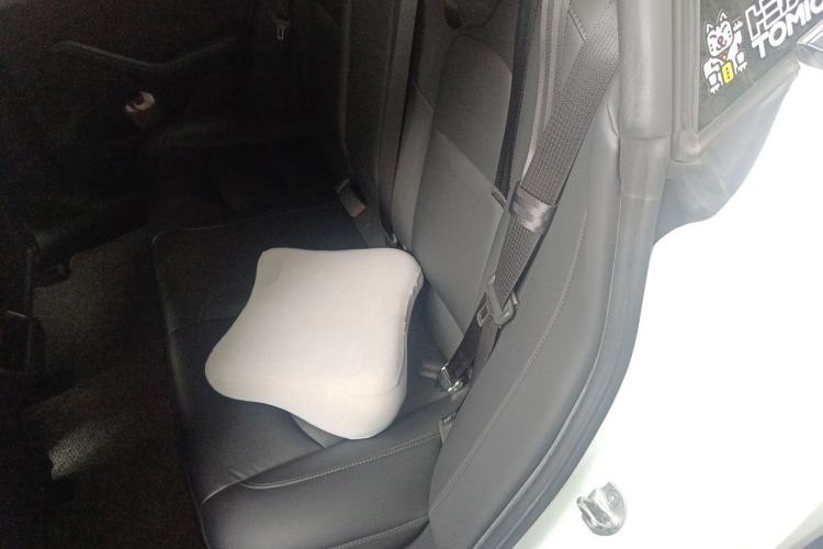 Used Tesla Model 3 2021 Revised Version Standard Range Rear-Wheel Drive Upgraded Edition 3D1 Left Rear Seat