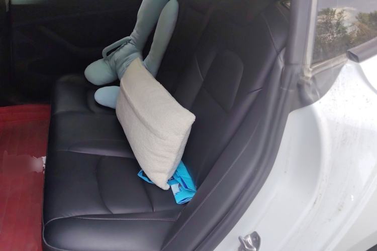 Used Tesla Model 3 2021 Performance High-Performance All-Wheel-Drive Version 3D6 Left Rear Seat