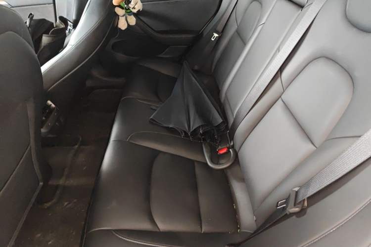 Used Tesla Model 3 2021 Standard Range Rear-Drive Upgraded Version Left Rear Seat