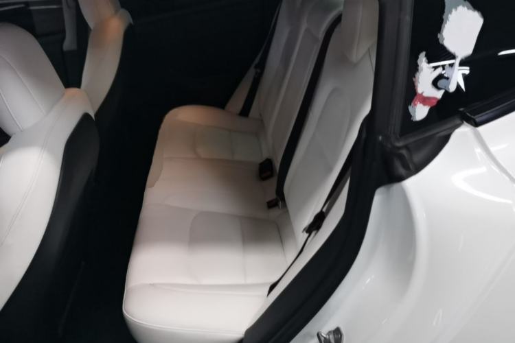 Used Tesla Model 3 2021 Performance High-Performance All-Wheel-Drive Version Left Rear Seat