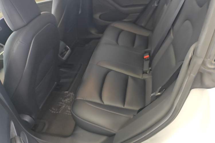 Used Tesla Model 3 2021 Revised Version Standard Range Rear-Wheel Drive Upgraded Edition 3D1 Left Rear Seat