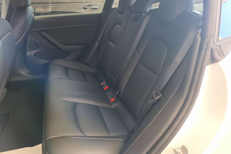 Used Tesla Model 3 2021 Performance High-Performance All-Wheel-Drive Version 3D6 Left Rear Seat