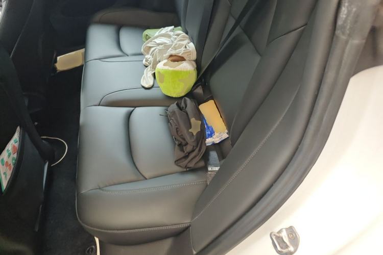 Used Tesla Model 3 2021 Performance High-Performance All-Wheel-Drive Version Left Rear Seat