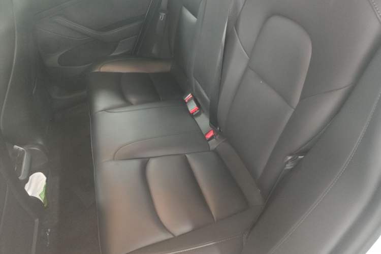Used Tesla Model 3 2021 Performance High-Performance All-Wheel-Drive Version 3D6 Left Rear Seat