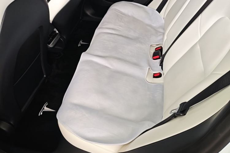 Used Tesla Model 3 2021 Standard Range Rear-Wheel Drive Upgraded Version 3D6 Left Rear Seat