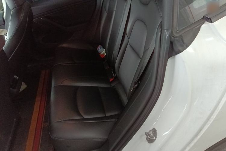 Used Tesla Model 3 2021 Performance High-Performance All-Wheel-Drive Version Left Rear Seat