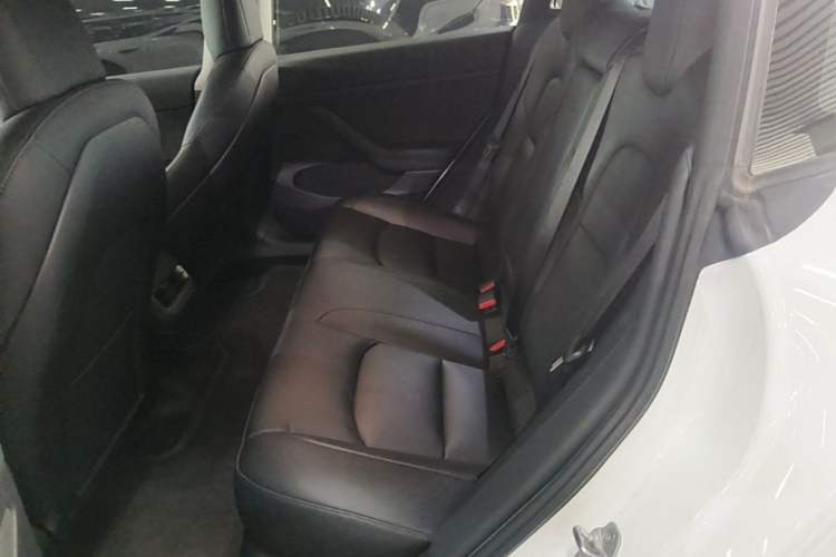 Used Tesla Model 3 2021 Revised Version Standard Range Rear-Wheel Drive Upgraded Edition 3D1 Left Rear Seat
