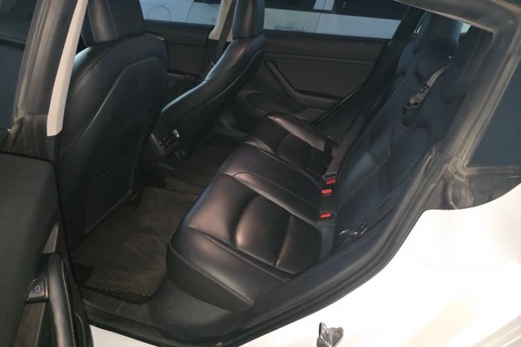 Used Tesla Model 3 2021 Performance High-Performance All-Wheel-Drive Version 3D6 Left Rear Seat