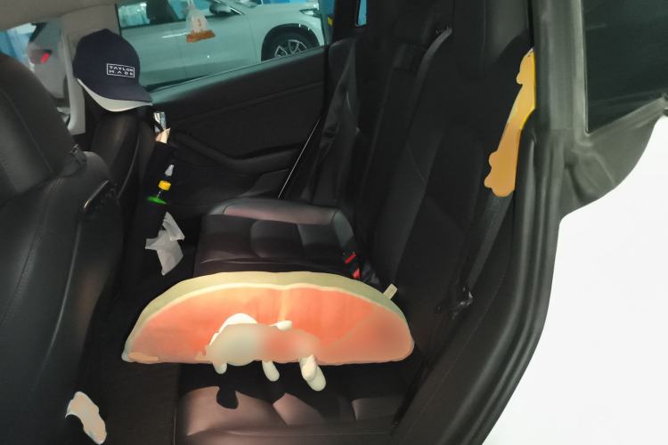 Used Tesla Model 3 2021 Performance High-Performance All-Wheel-Drive Version Left Rear Seat
