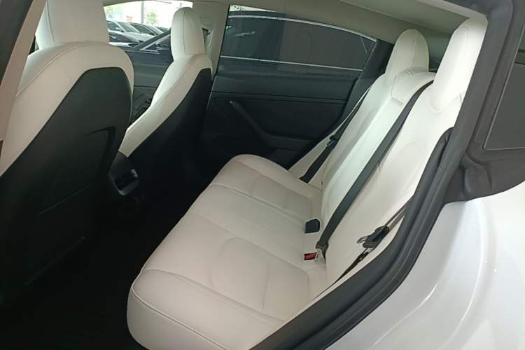 Used Tesla Model 3 2021 Revised Version II – Performance High-Performance All-Wheel-Drive Edition Left Rear Seat