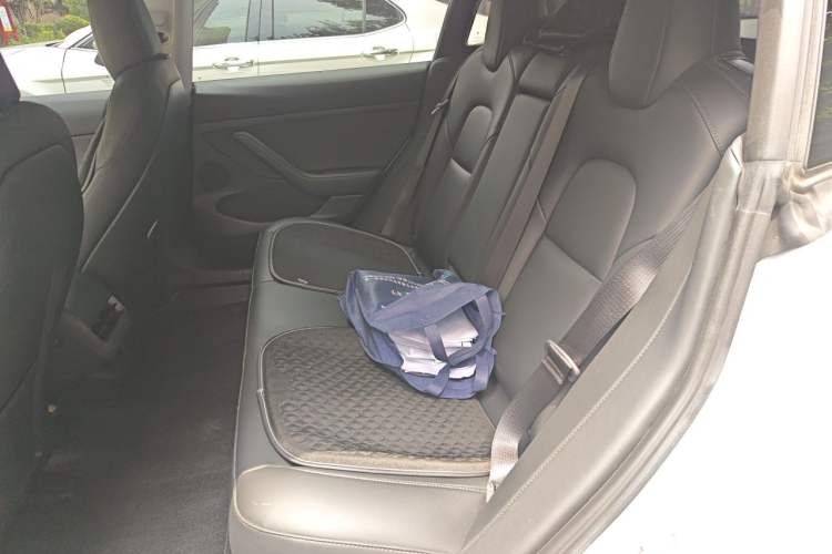 Used Tesla Model 3 2021 Performance High-Performance All-Wheel-Drive Version Left Rear Seat