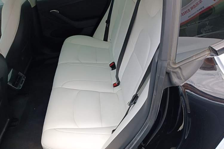 Used Tesla Model 3 2021 Performance High-Performance All-Wheel-Drive Version Left Rear Seat