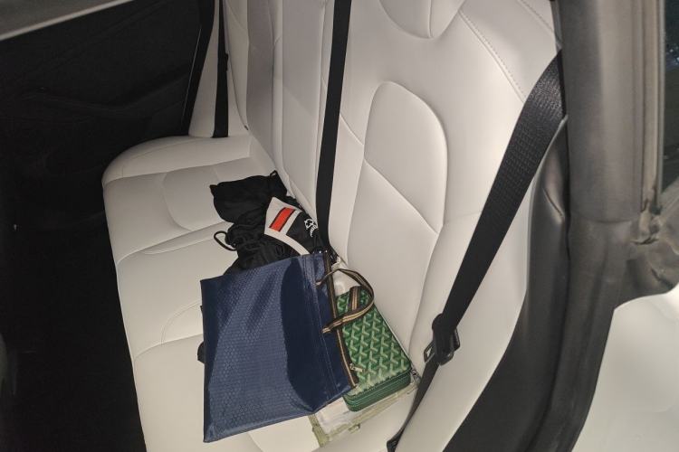 Used Tesla Model 3 2021 Performance High-Performance All-Wheel-Drive Version Left Rear Seat