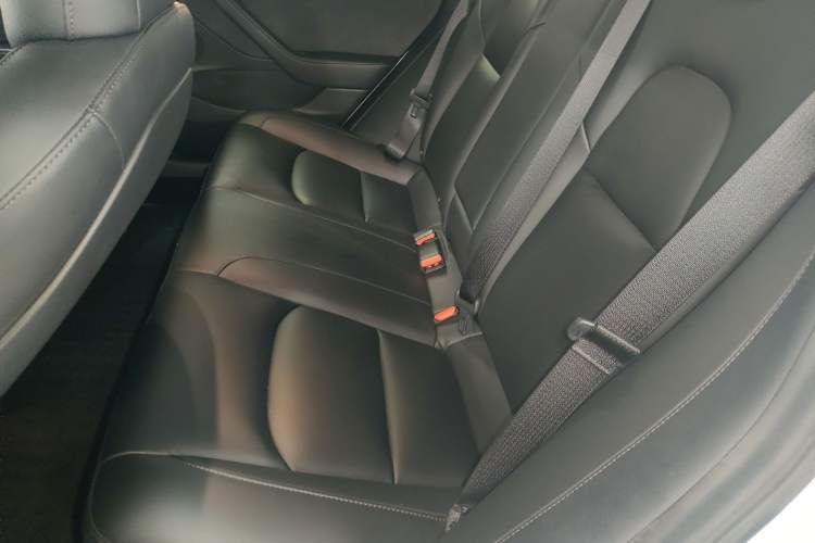 Used Tesla Model 3 2021 Performance High-Performance All-Wheel-Drive Version Left Rear Seat