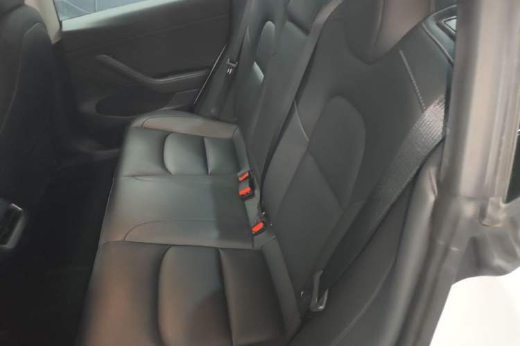 Used Tesla Model 3 2021 Performance High-Performance All-Wheel-Drive Version 3D6 Left Rear Seat