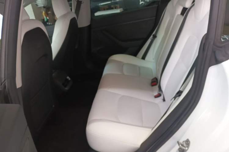 Used Tesla Model 3 2021 Standard Range Rear-Drive Upgraded Version Left Rear Seat