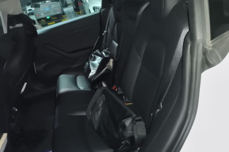 Used Tesla Model 3 2021 Revised Performance Version with All-Wheel Drive 3D1 Left Rear Seat