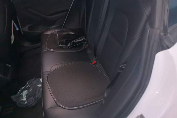 Used Tesla Model 3 2021 Performance High-Performance All-Wheel-Drive Version Left Rear Seat