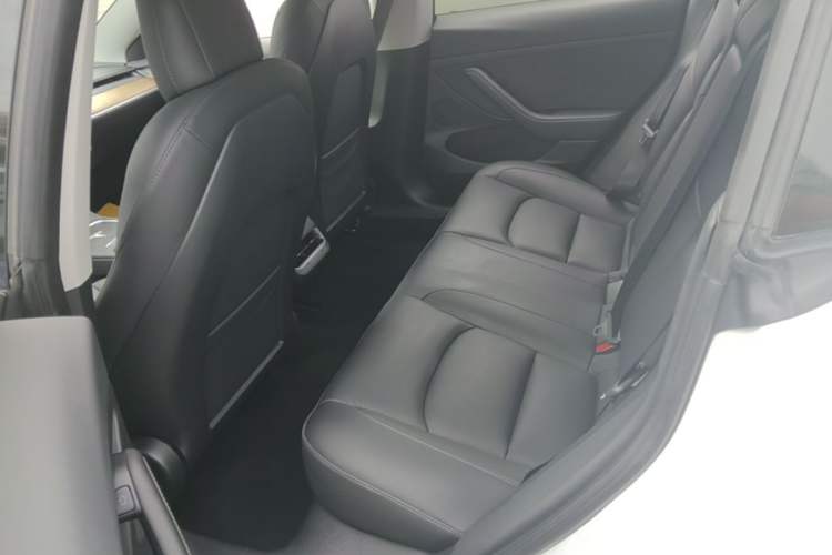 Used Tesla Model 3 2021 Performance High-Performance All-Wheel-Drive Version 3D6 Left Rear Seat