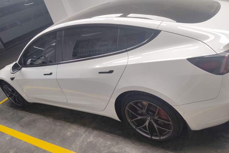 Used Tesla Model 3 2021 Revised Version II – Performance High-Performance All-Wheel-Drive Edition Left Side