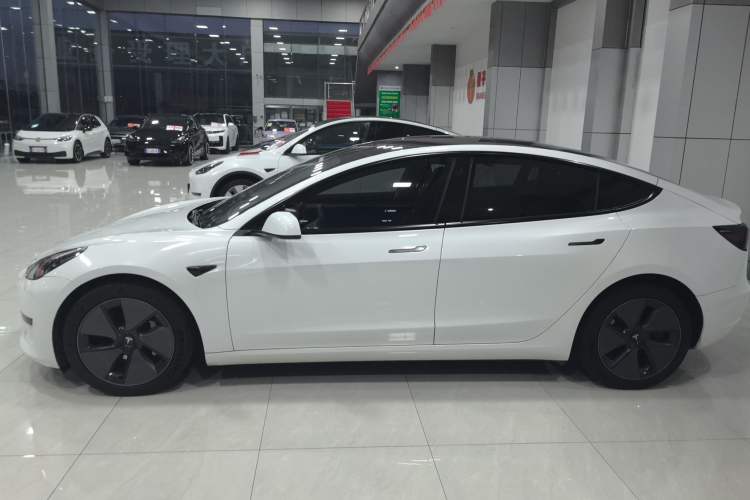 Used Tesla Model 3 2021 Standard Range Rear-Wheel Drive Upgraded Version 3D6 Left Side