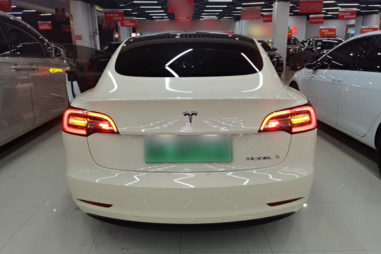 Used Tesla Model 3 2021 Standard Range Rear-Wheel Drive Upgraded Version 3D6 Rear