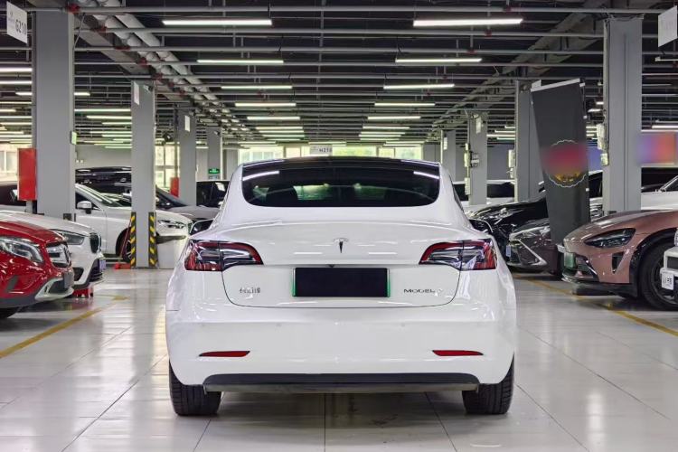 Used Tesla Model 3 2021 Standard Range Rear-Wheel Drive Upgraded Version 3D6 Rear