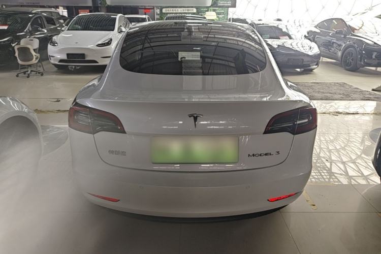 Used Tesla Model 3 2021 Standard Range Rear-Wheel Drive Upgraded Version 3D6 Rear