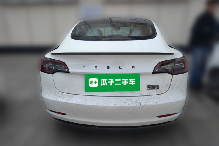 Used Tesla Model 3 2021 Revised Performance Version with All-Wheel Drive 3D1 Rear