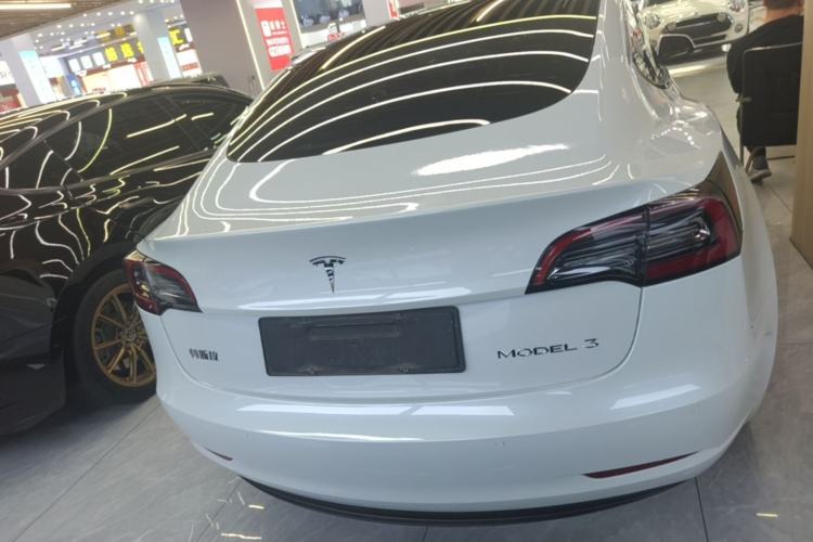 Used Tesla Model 3 2021 Standard Range Rear-Wheel Drive Upgraded Version 3D6 Rear