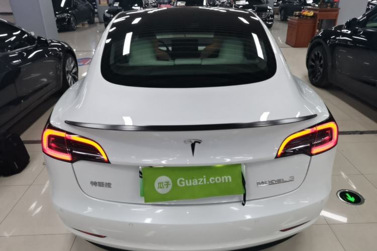 Used Tesla Model 3 2021 Performance High-Performance All-Wheel-Drive Version Rear