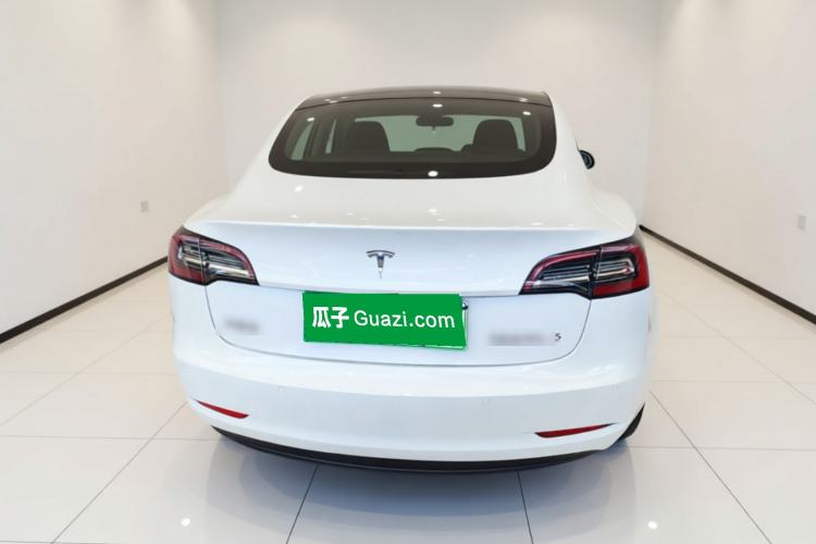 Used Tesla Model 3 2021 Performance High-Performance All-Wheel-Drive Version 3D6 Rear