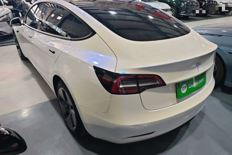 Used Tesla Model 3 2021 Standard Range Rear-Wheel Drive Upgraded Version 3D6 Rear Left 45 Deg