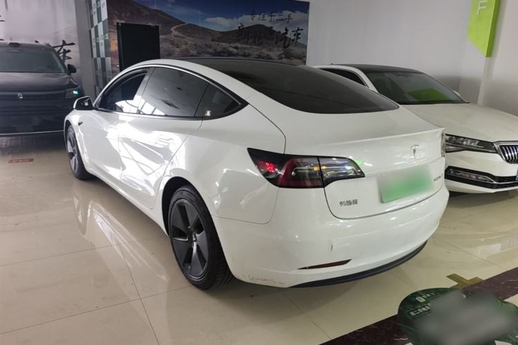 Used Tesla Model 3 2021 Standard Range Rear-Wheel Drive Upgraded Version 3D6 Rear Left 45 Deg