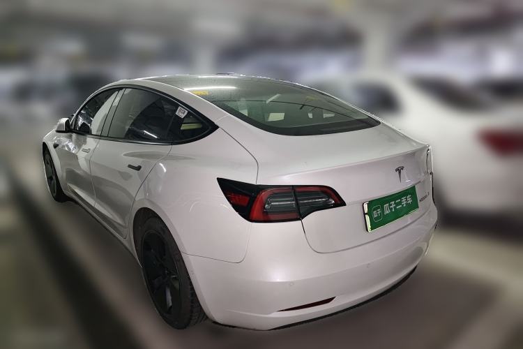 Used Tesla Model 3 2021 Standard Range Rear-Wheel Drive Upgraded Version 3D6 Rear Left 45 Deg