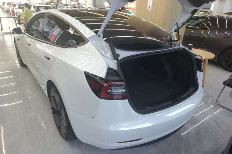 Used Tesla Model 3 2021 Standard Range Rear-Wheel Drive Upgraded Version 3D6 Rear Left 45 Deg