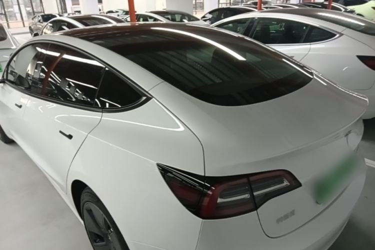Used Tesla Model 3 2021 Standard Range Rear-Wheel Drive Upgraded Version 3D6 Rear Left 45 Deg