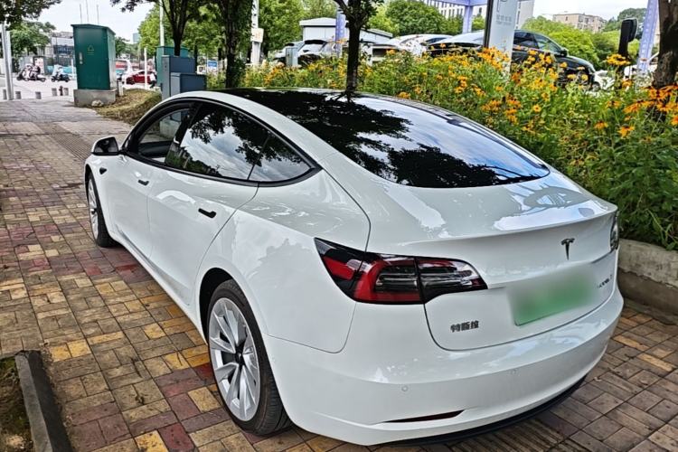 Used Tesla Model 3 2021 Standard Range Rear-Wheel Drive Upgraded Version 3D6 Rear Left 45 Deg