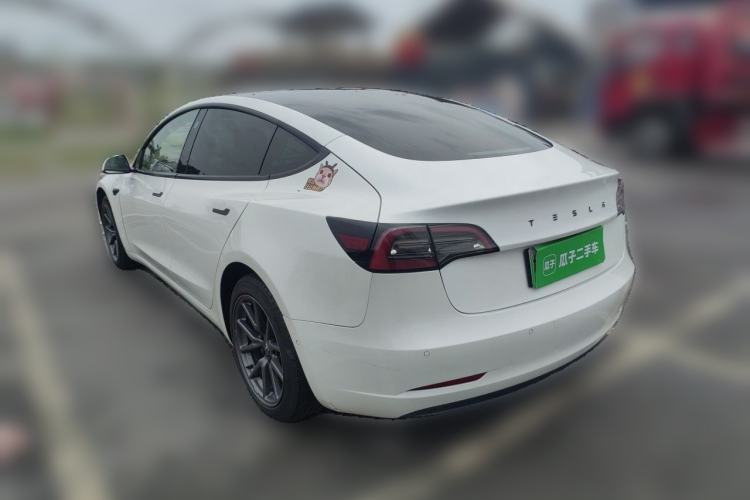 Used Tesla Model 3 2021 Standard Range Rear-Wheel Drive Upgraded Version 3D6 Rear Left 45 Deg