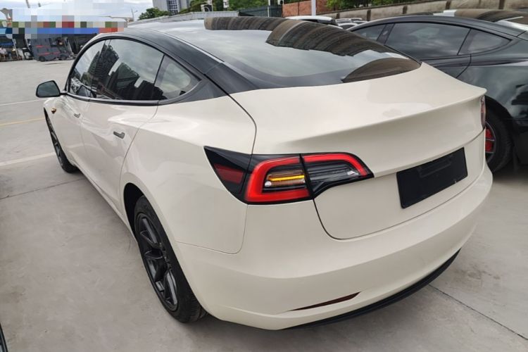 Used Tesla Model 3 2021 Standard Range Rear-Wheel Drive Upgraded Version 3D6 Rear Left 45 Deg