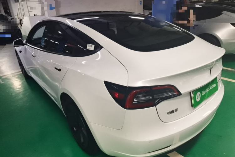 Used Tesla Model 3 2021 Standard Range Rear-Wheel Drive Upgraded Version 3D6 Rear Left 45 Deg