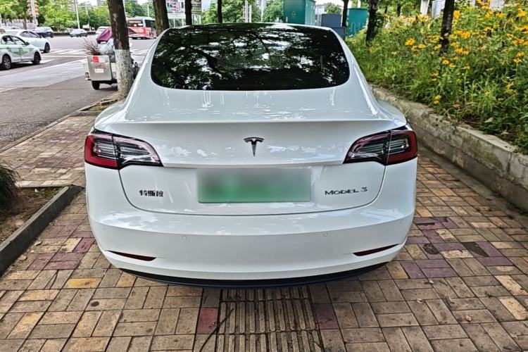 Used Tesla Model 3 2021 Standard Range Rear-Wheel Drive Upgraded Version 3D6 Rear