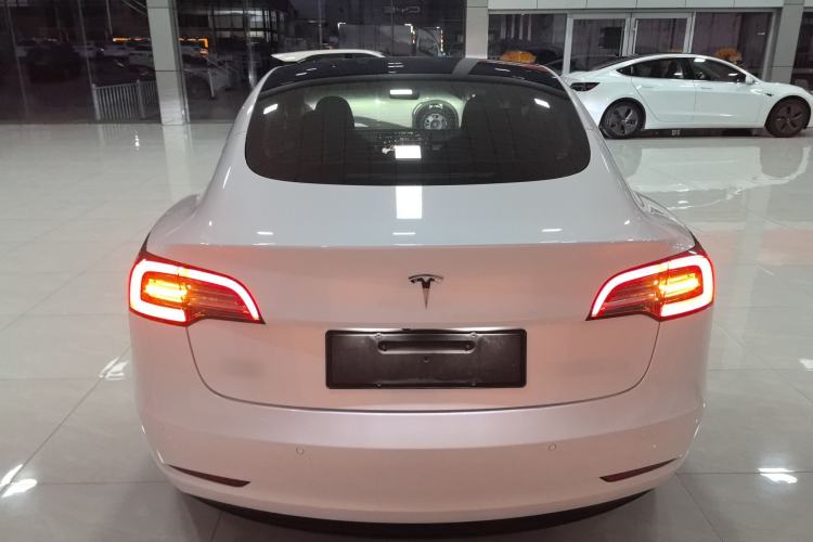 Used Tesla Model 3 2021 Standard Range Rear-Wheel Drive Upgraded Version 3D6 Rear