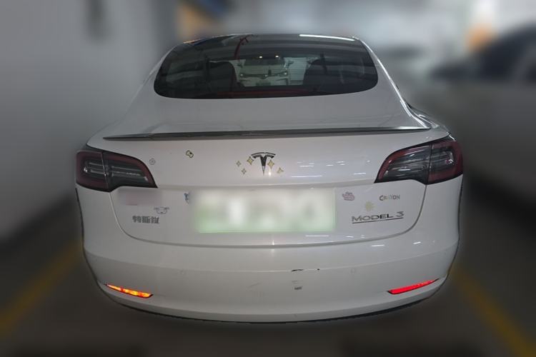 Used Tesla Model 3 2021 Performance High-Performance All-Wheel-Drive Version 3D6 Rear