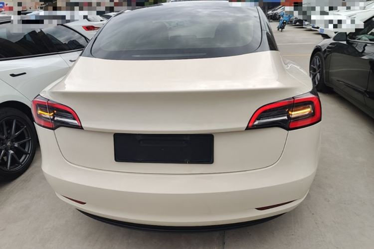 Used Tesla Model 3 2021 Standard Range Rear-Wheel Drive Upgraded Version 3D6 Rear